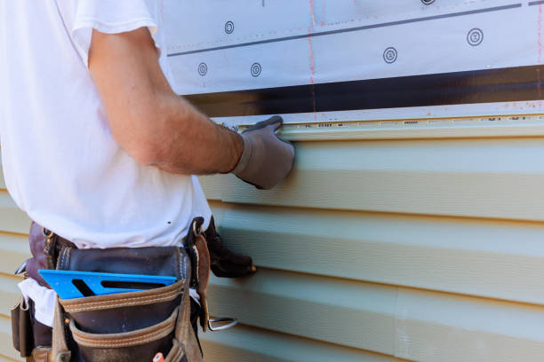 Affordable Vinyl Siding solutions in The Plains, OH